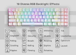 Royal Kludge RK71 Wireless RGB Mechanical Gaming Keyboard – Tri-Mode Bluetooth, 2.4GHz & USB (Black/White) - Image 4