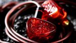 Tangzu Red Lion In-Ear Monitors | Audiophile Sound & Premium Bass