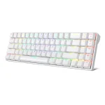 Royal Kludge RK71 Wireless RGB Mechanical Gaming Keyboard – Tri-Mode Bluetooth, 2.4GHz & USB (Black/White)